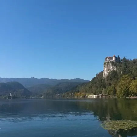 Effie Perine Apartment