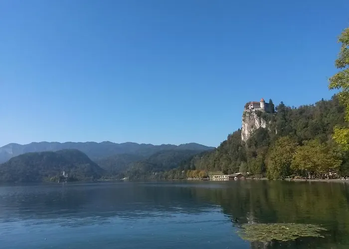 Effie Perine Apartma